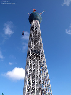 p7302431.jpg