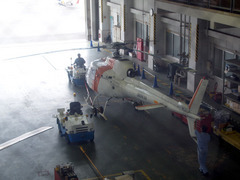 p7312507.jpg