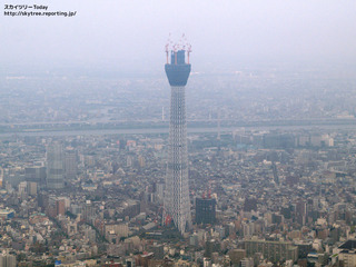 p7312526_r.jpg